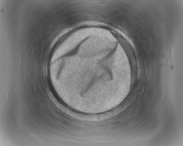 X0000085770015200704131815