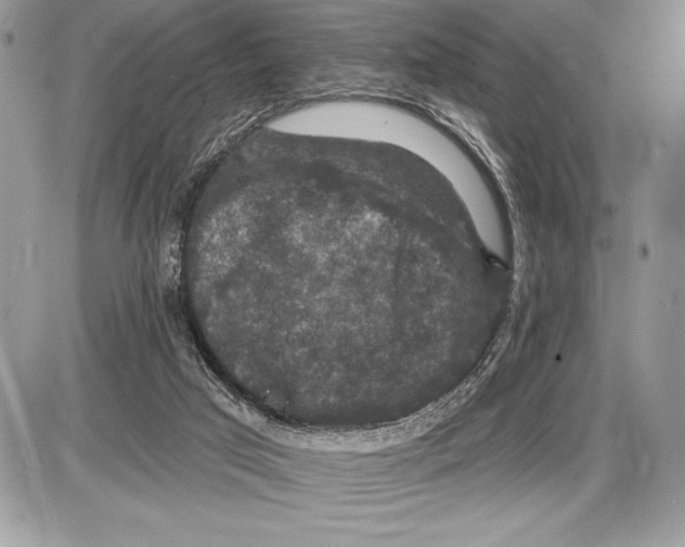 X0000085770017200704131815