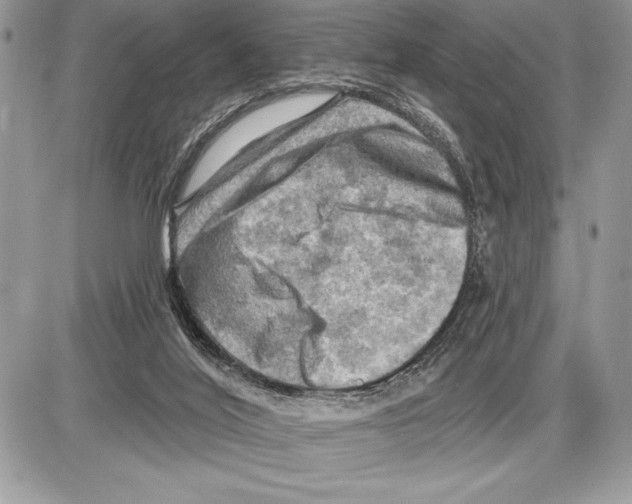 X0000085770020200704131815