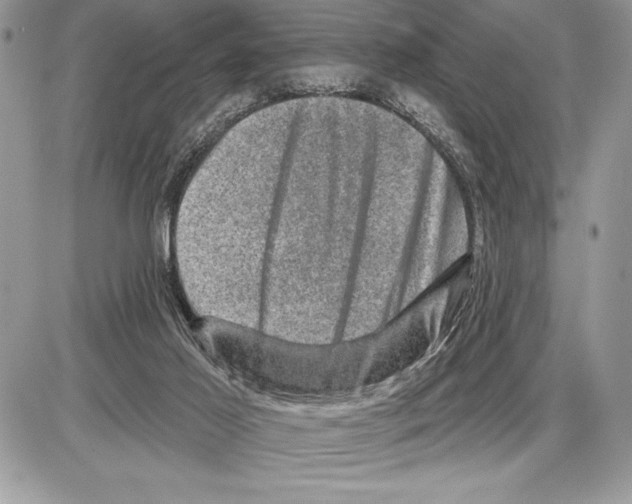 X0000085770021200704131815