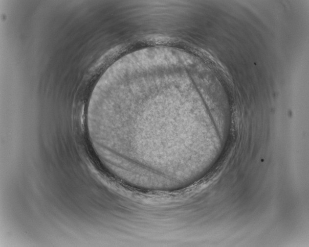 X0000085770024200704131815