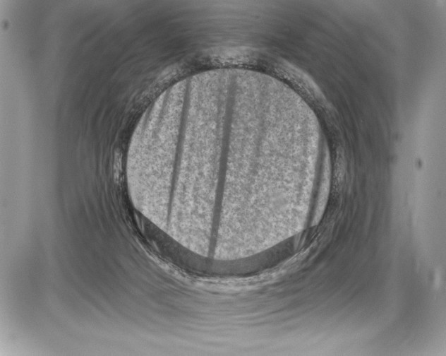 X0000085770025200704131815