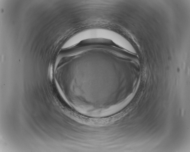 X0000085770027200704131815