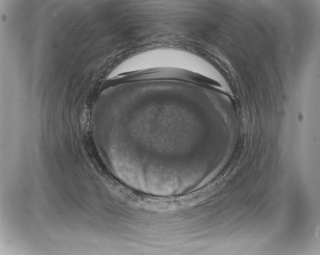 X0000085770029200704131815