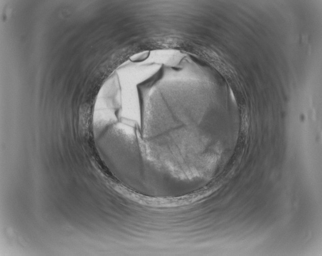 X0000085770030200704131815