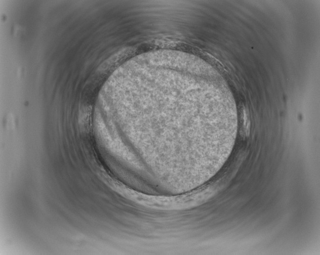 X0000085770034200704131815