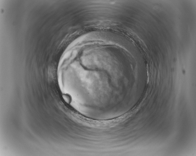 X0000085770035200704131815