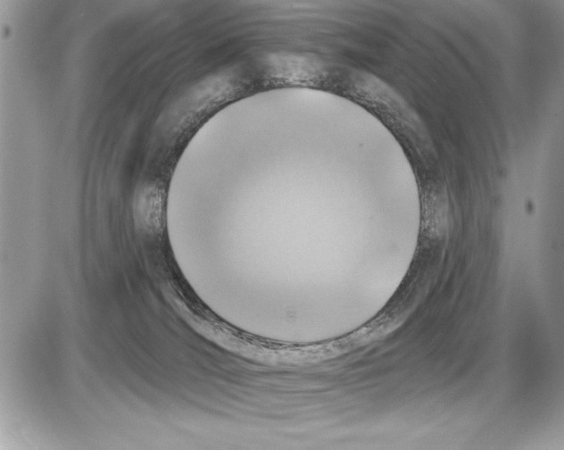 X0000085770036200704131815