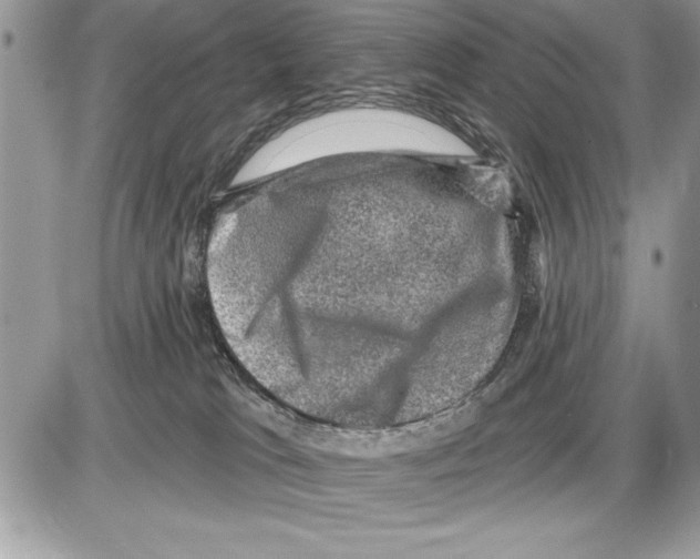 X0000085770037200704131815