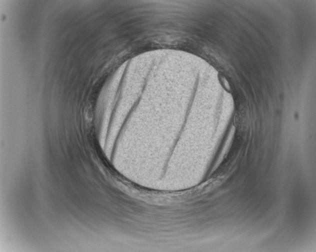 X0000085770040200704131815