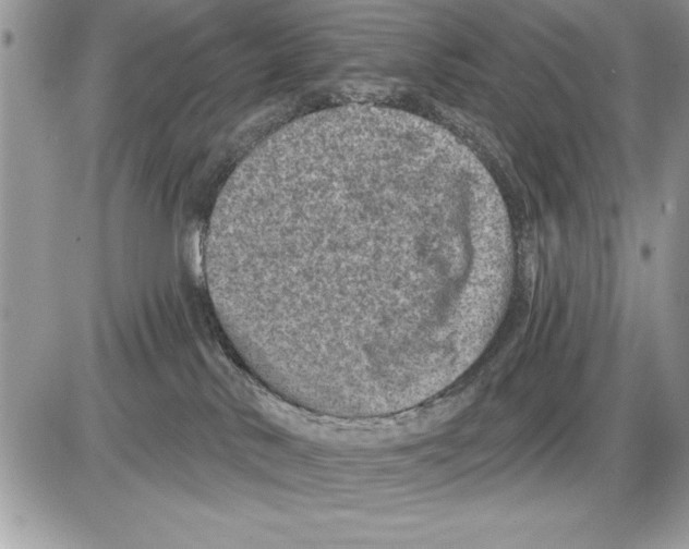 X0000085770042200704131814