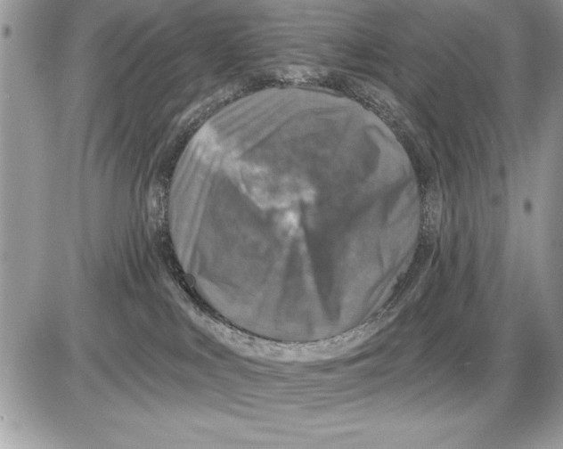 X0000085770043200704131814