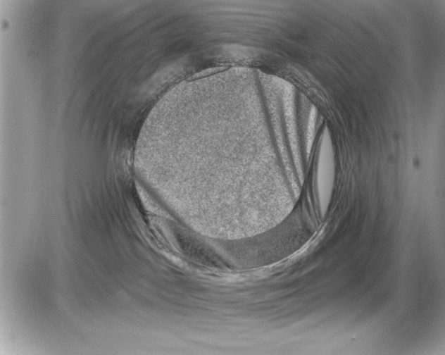 X0000085770045200704131814