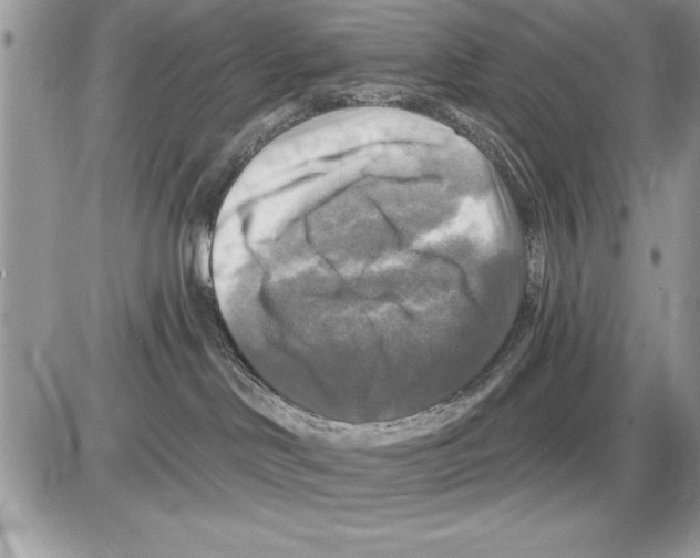 X0000085770046200704131814