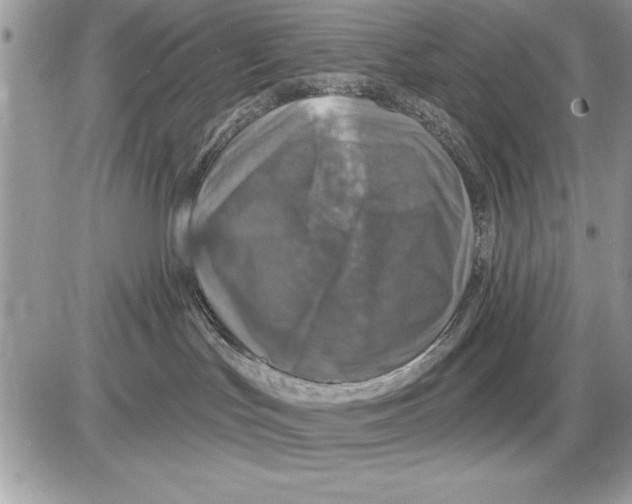 X0000085770047200704131814