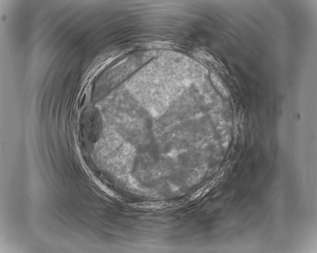 X0000085770049200704131814