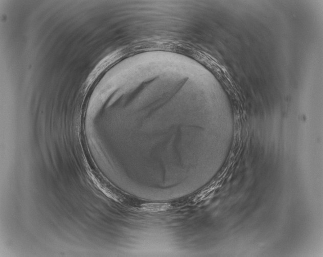 X0000085770051200704131814