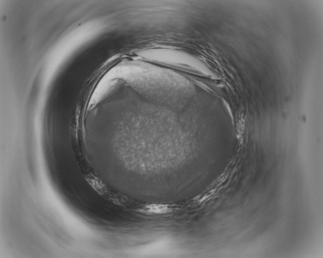 X0000085770052200704131814