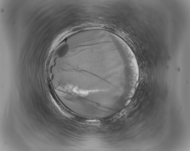 X0000085770053200704131814