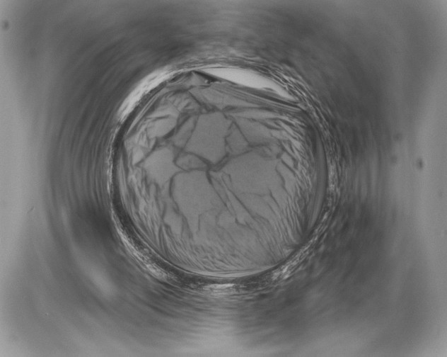 X0000085770054200704131814