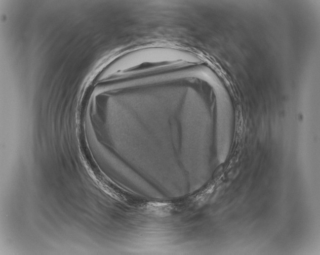 X0000085770055200704131814