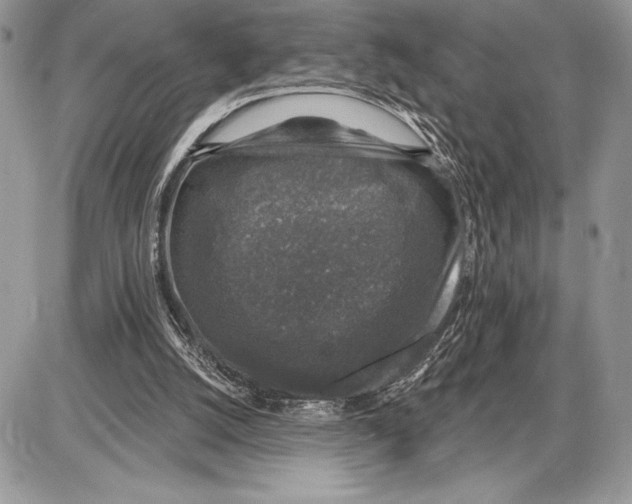 X0000085770056200704131814