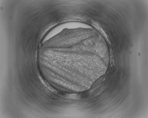 X0000085770058200704131814