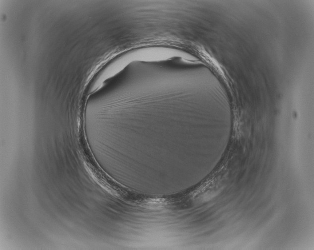 X0000085770059200704131814