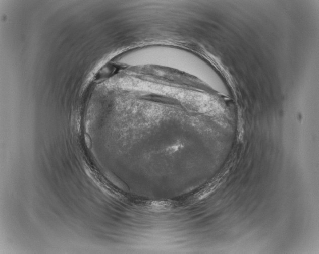 X0000085770060200704131814