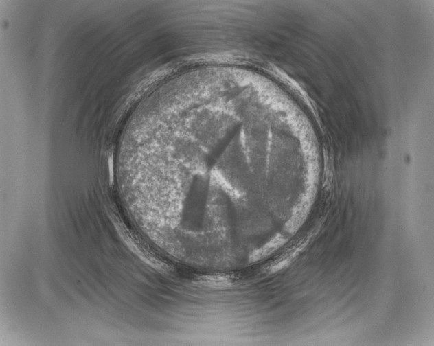 X0000085770061200704131814