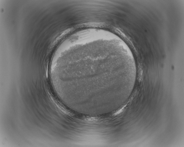 X0000085770062200704131814