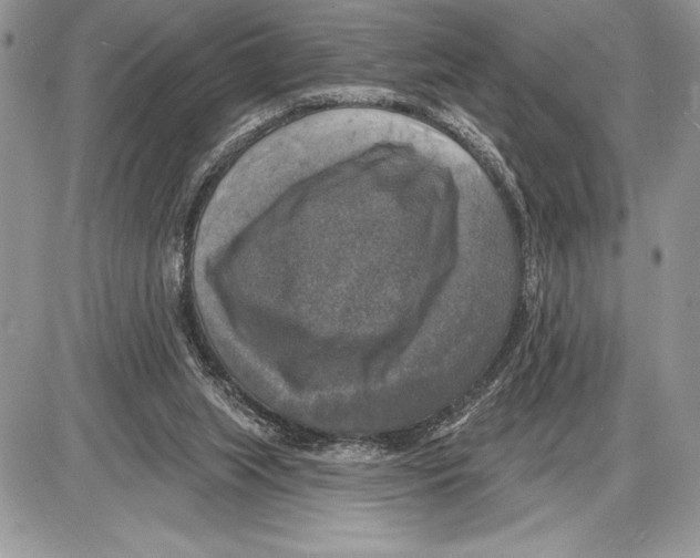 X0000085770063200704131814