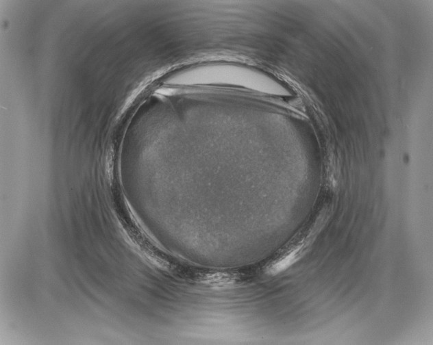 X0000085770064200704131814