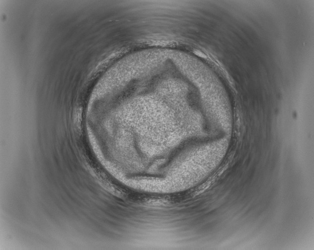 X0000085770066200704131814