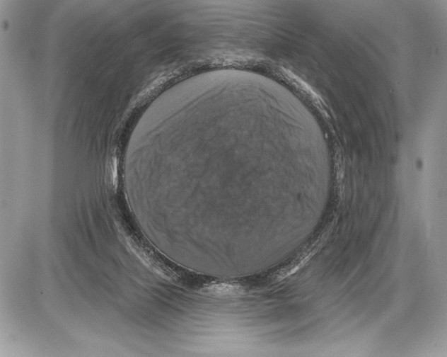 X0000085770067200704131814