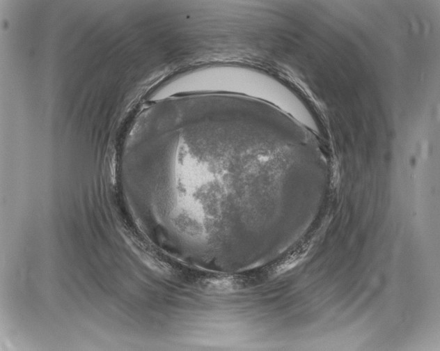 X0000085770068200704131814