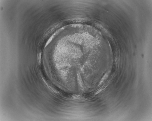 X0000085770070200704131814