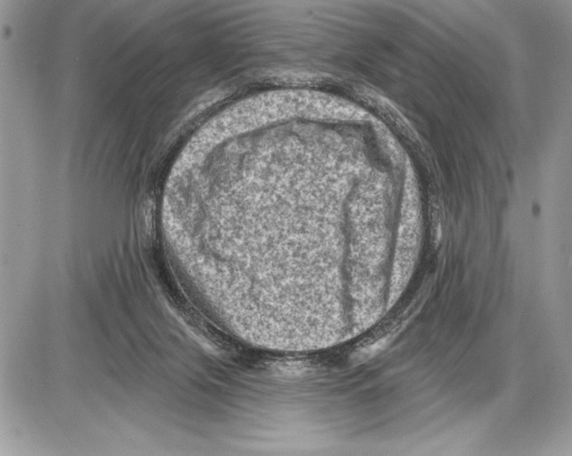 X0000085770071200704131814