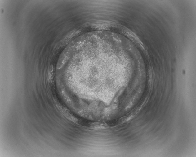 X0000085770073200704131814