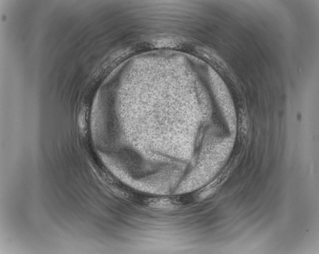 X0000085770074200704131814