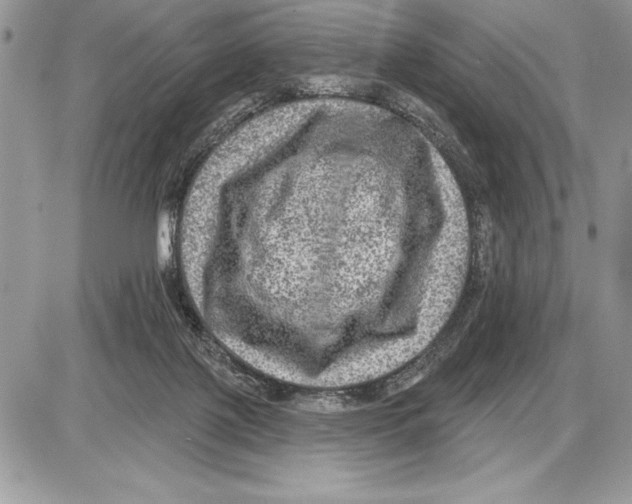 X0000085770075200704131814