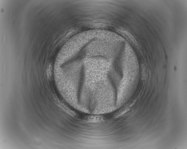 X0000085770077200704131814