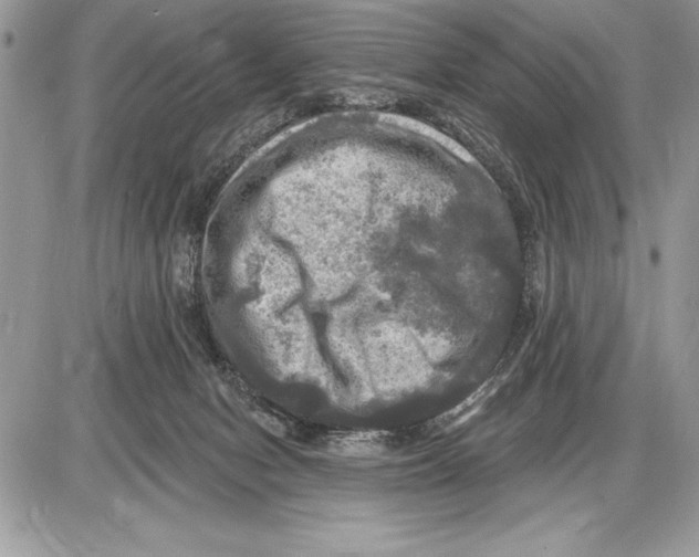 X0000085770078200704131814