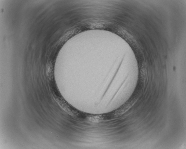 X0000085770079200704131814