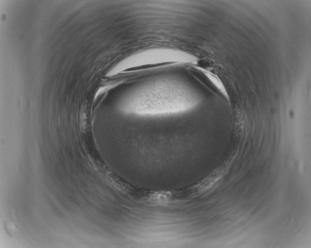 X0000085770080200704131814