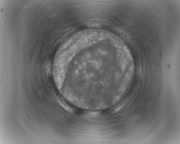 X0000085770081200704131814