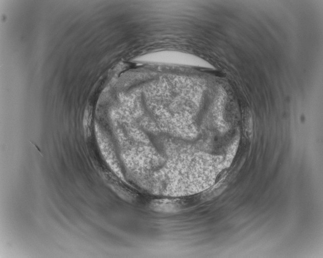 X0000085770082200704131814