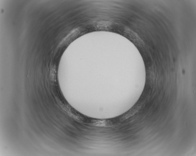 X0000085770083200704131814