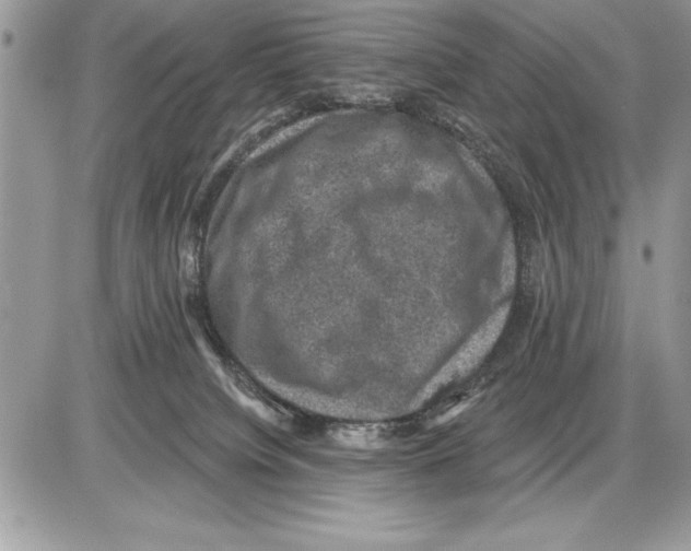 X0000085770084200704131814