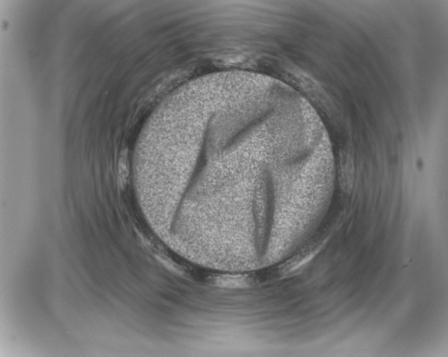 X0000085770085200704131814